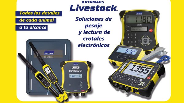 Identificación electrónica en vacuno extensivo con Datamars Livestock