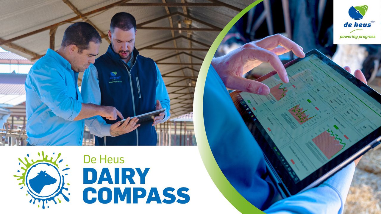 De Heus lanza Dairy Compass, a ferramenta que mellora os rendementos das ganderías de vacún leiteiro