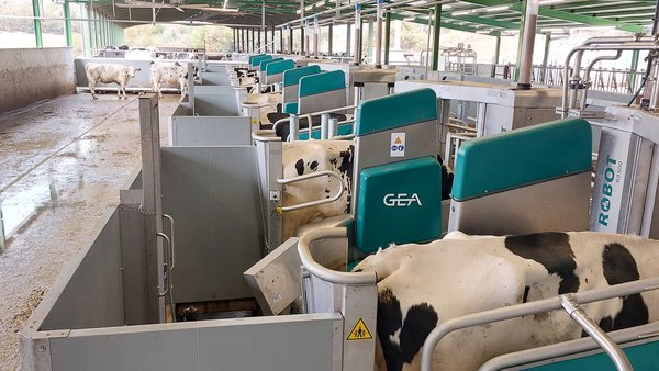 GEA y Bioprana posponen el encuentro en Ganadería Pastora sobre batch milking y descarbonización