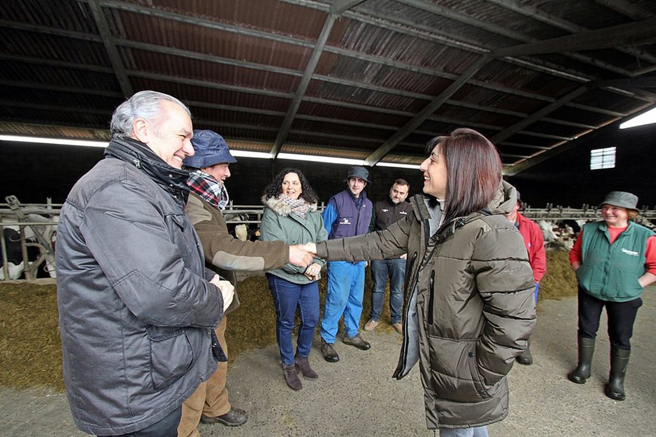 Pontevedra podría ser declarada zona libre de tuberculosis bovina