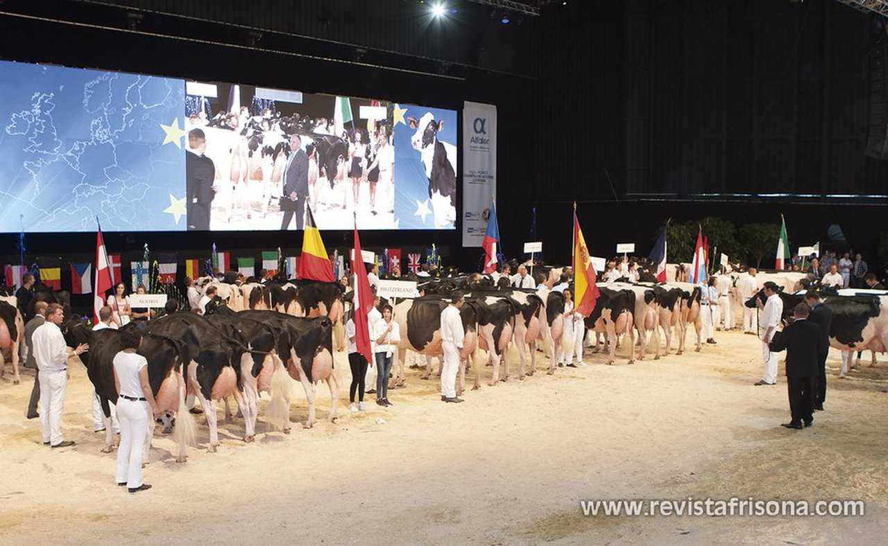 14 vacas españolas competirán na próxima Confrontación Europea de Raza Holstein