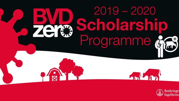 Convocadas las becas BVD Zero para estudiantes de veterinaria