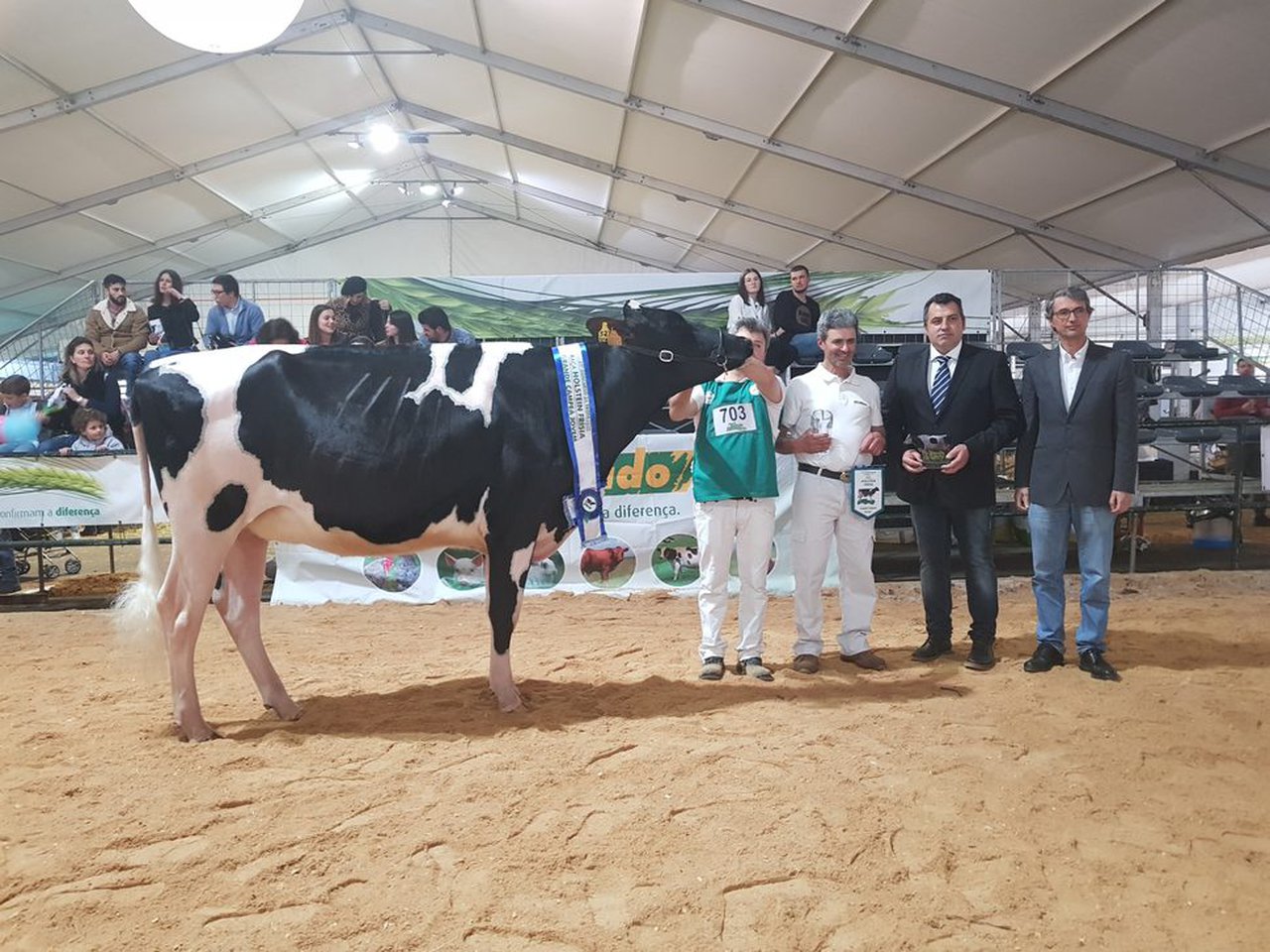 Encanto Byway 527 xovenca gran campiona no concurso de Trofa