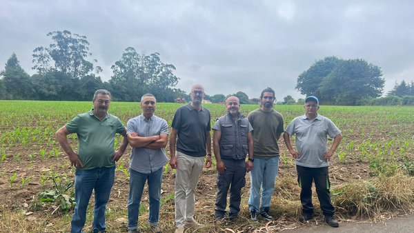 Medio Rural promueve en Arzúa una jornada para reducir el uso de fitosanitarios en el maíz