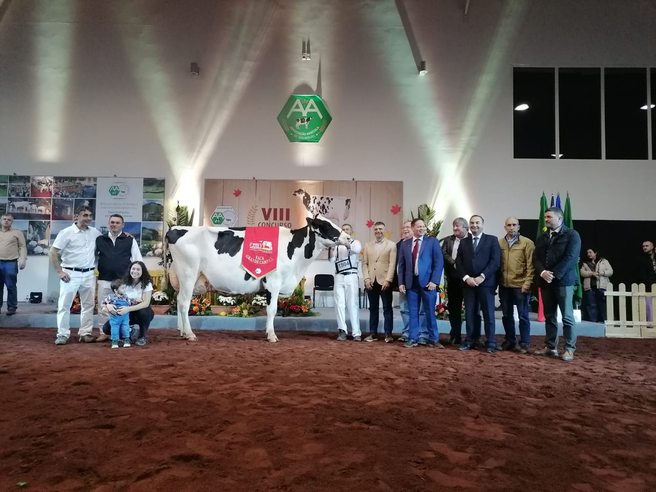 O Concurso de Outono de Azores ten nova vaca gran campiona: ORP Mccutchen Maia