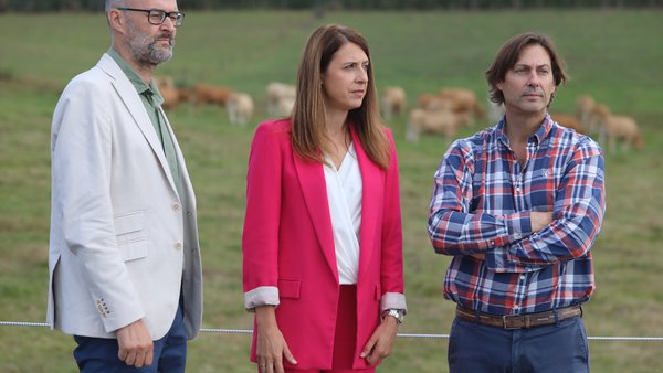Medio Rural avanza unha segunda poxa de exemplares de Rubia Galega no CIAM tras os bos resultados da celebrada en xullo