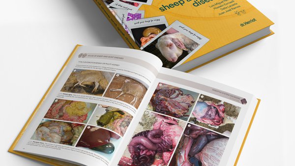 Publicado un novo libro sobre patoloxía ovina e caprina