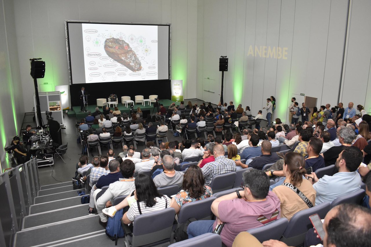 Aberto o prazo de inscrición para o XXVII Congreso Anembe, que se celebrará en Vitoria