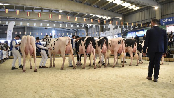 A Moexmu convoca esta fin de semana os gandeiros participantes na próxima edición da mostra