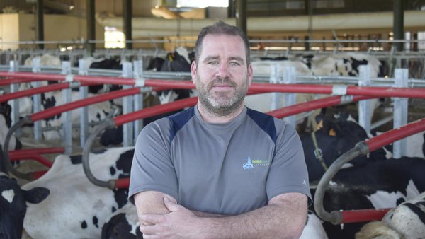 “Cuando las vacas se van a tumbar, no se rozan tanto y, como los cubículos ceden, están más cómodas”
