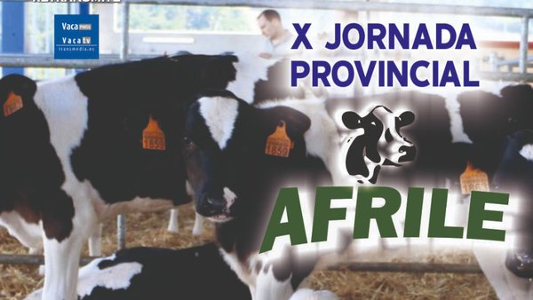 Valencia de Don Juan acoge mañana la décima Jornada Provincial de Afrile