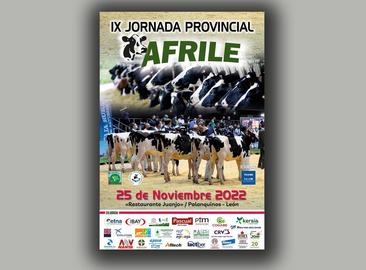 Afrile celebra a súa IX Xornada Provincial o 25 de novembro