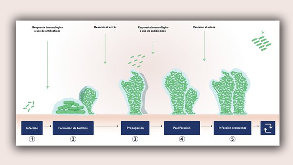 Biotecnoloxía ao servizo da saúde animal con AHV: Enfoque innovador para enfrontar o estrés e as infeccións crónicas