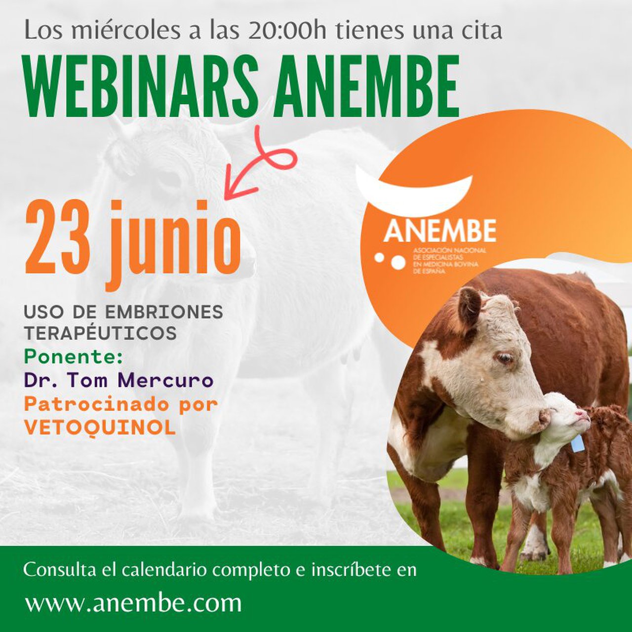 Anembe celebra mañana un webinario sobre el uso de embriones terapéuticos