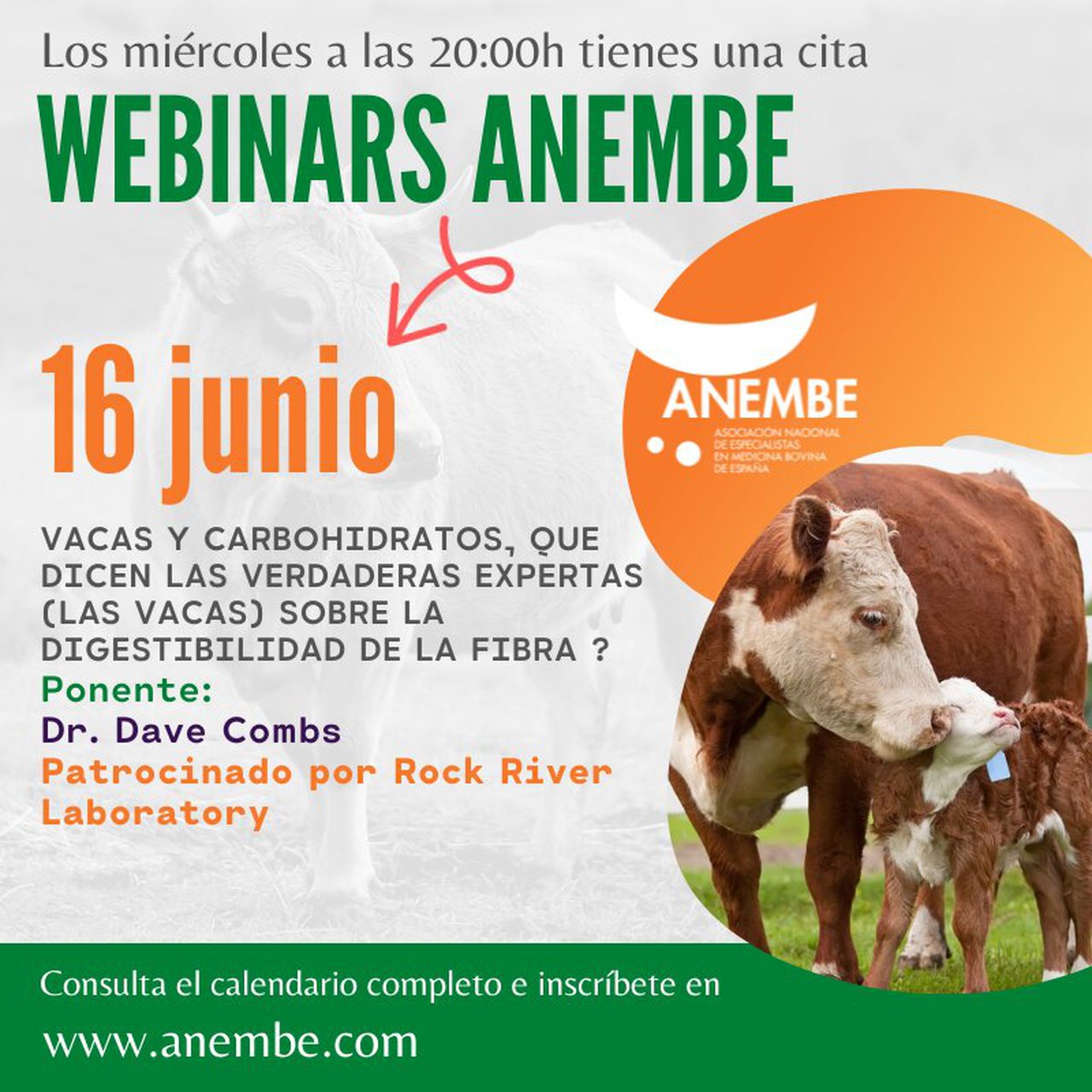 Anembe centra su nuevo seminario en la digestibilidad de la fibra