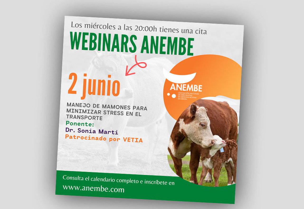 Este miércoles, nuevo webinario de Anembe