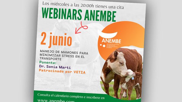 Este miércoles, nuevo webinario de Anembe