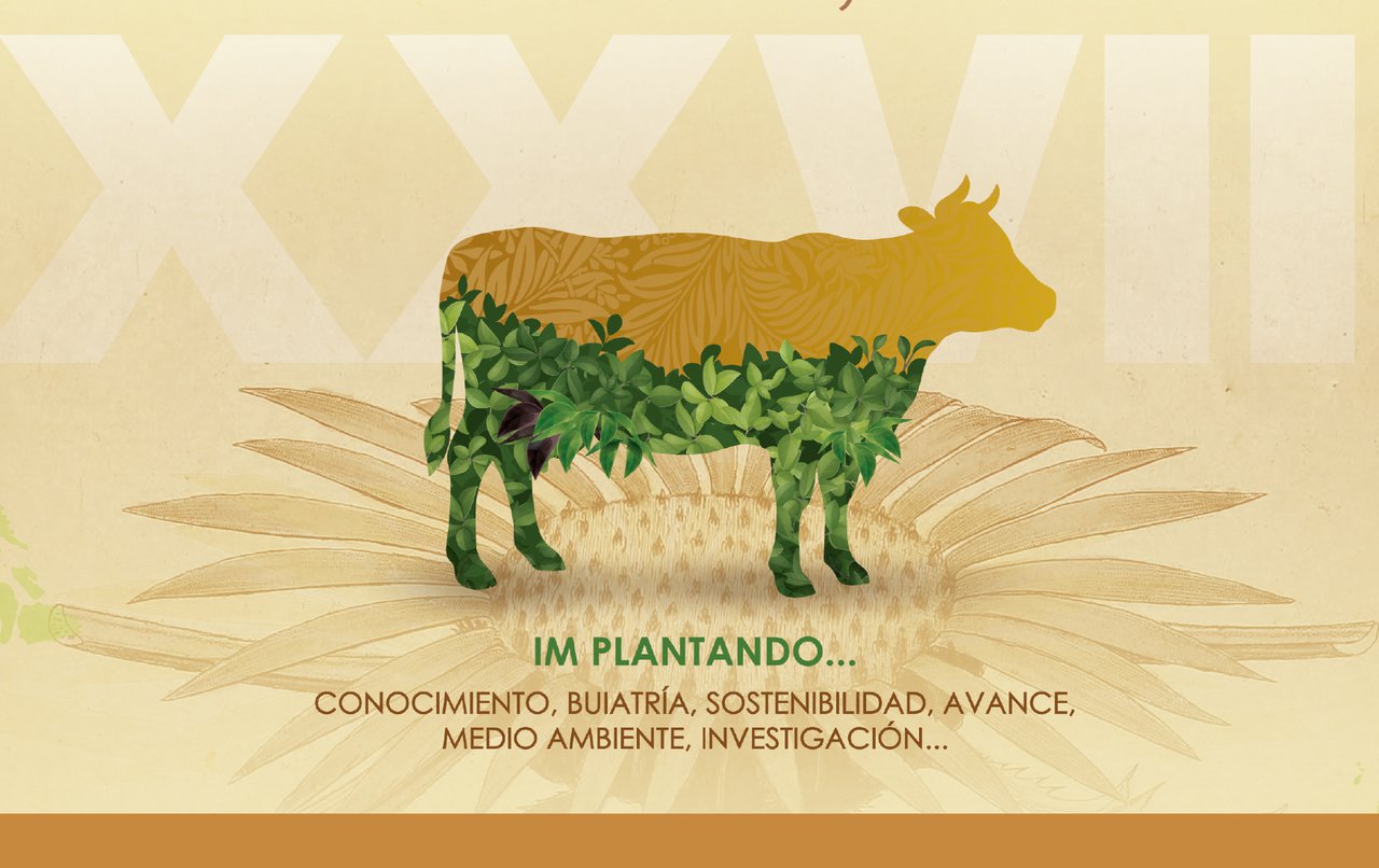 El XXVII Congreso de Anembe, esta semana en Vitoria