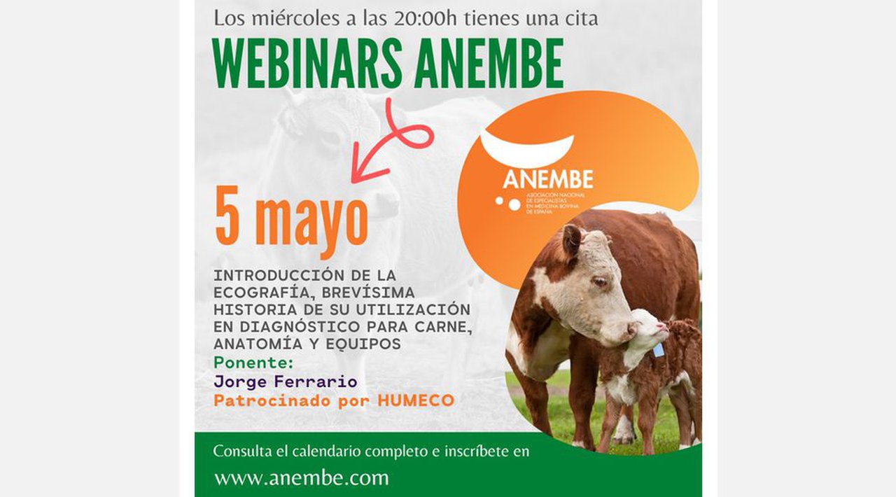 El próximo miércoles, webinario de Anembe sobre ecografía en vacuno