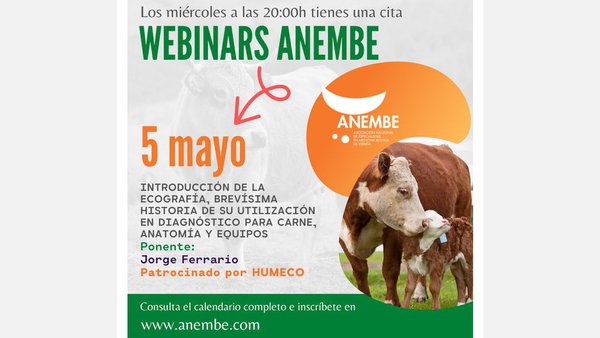 El próximo miércoles, webinario de Anembe sobre ecografía en vacuno