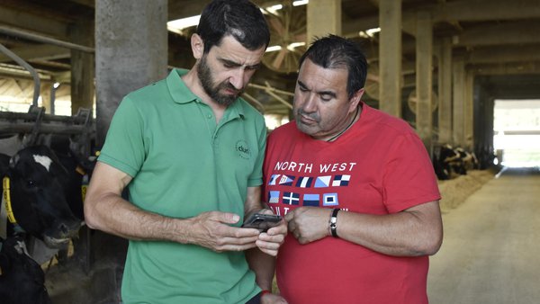 Gando, unha plataforma online que unifica todos os datos da granxa