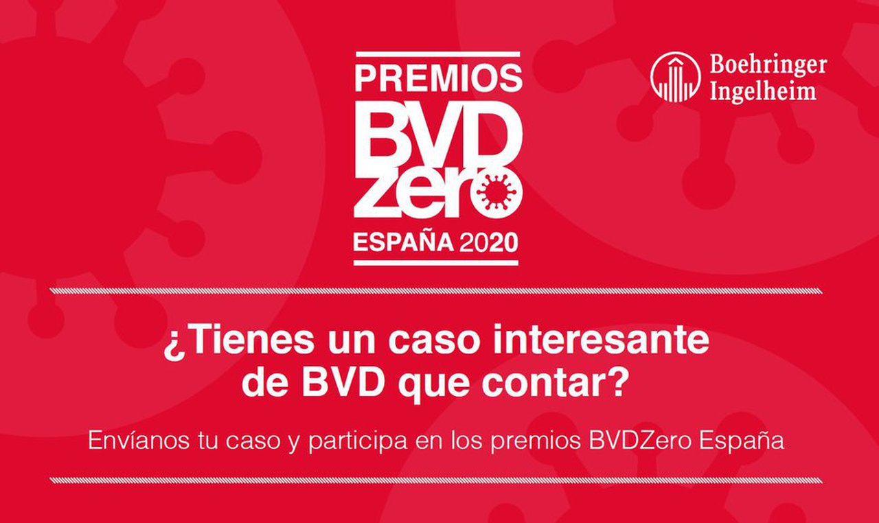 Convocados por primeira vez os Premios BVDzero España