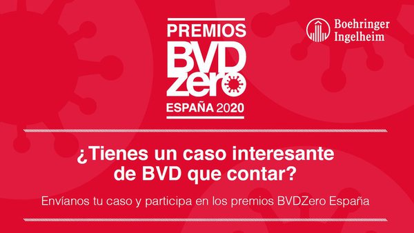 Convocados por primeira vez os Premios BVDzero España