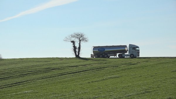 Naturleite, unha planta galega con ADN andaluz e esencia cooperativa