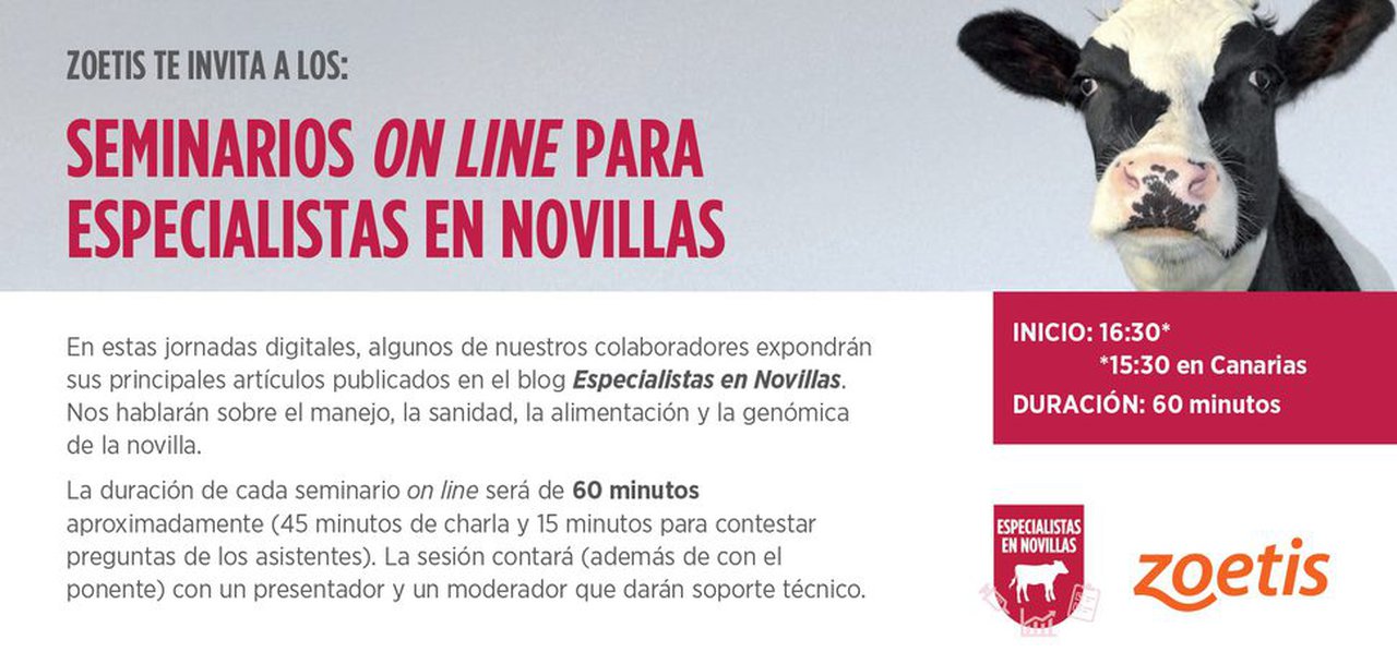 1400 profesionales asisten a los seminarios online de Especialistas en Novillas