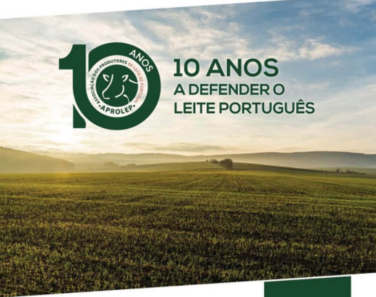 Aprolep celebra o seu 10.º aniversario