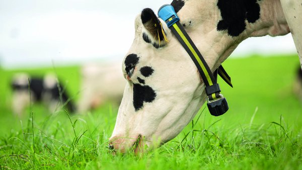 Como os sistemas de monitorización son eficaces á hora de anticiparnos ás patoloxías ocasionadas polos cambios na alimentación