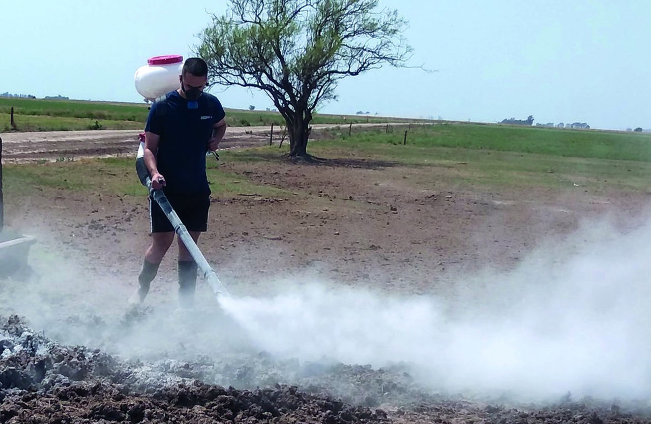 Métodos para combater moscas sen danar o medio ambiente nin recorrer a insecticidas