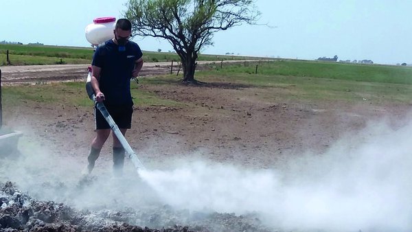 Métodos para combater moscas sen danar o medio ambiente nin recorrer a insecticidas
