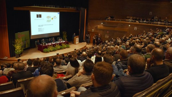 A gala de entrega do XX Premio Aresa, en vídeo