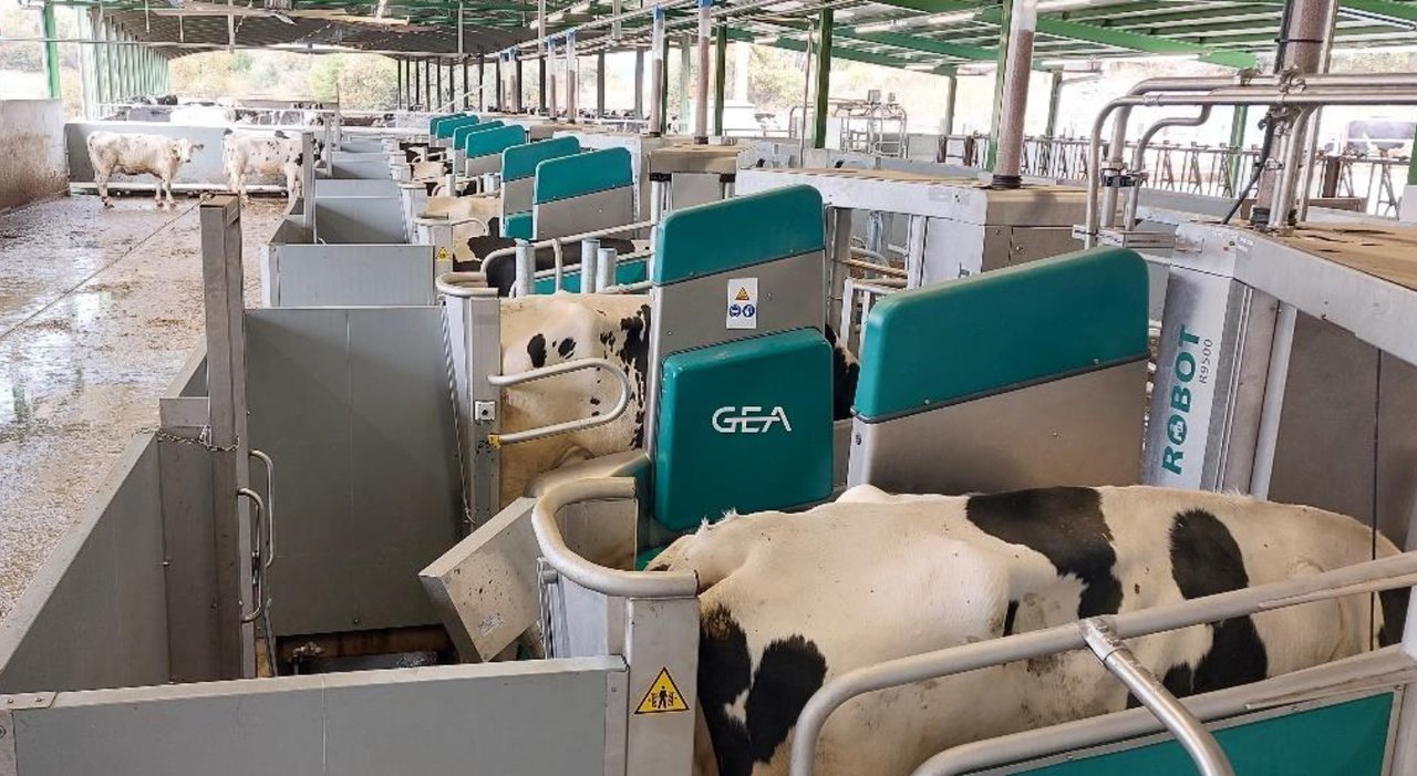 GEA sumou en xaneiro tres novos proxectos de muxido por lotes na península