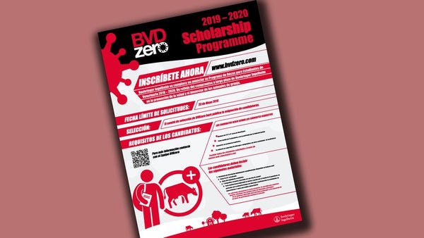 Boehringer Ingelheim convoca las becas BVDzero para estudiantes de veterinaria de todo el mundo