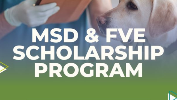 MSD y la FVE otorgarán 34 becas a estudiantes europeos de Veterinaria por valor de 5.000 $