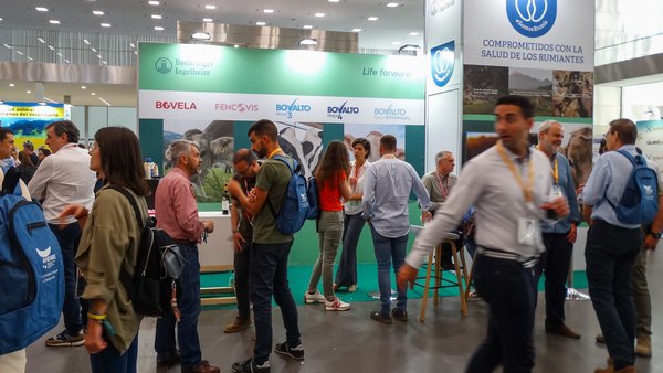 Boehringer Ingelheim patrocinou o XXVI Congreso Anembe de Medicina Bovina