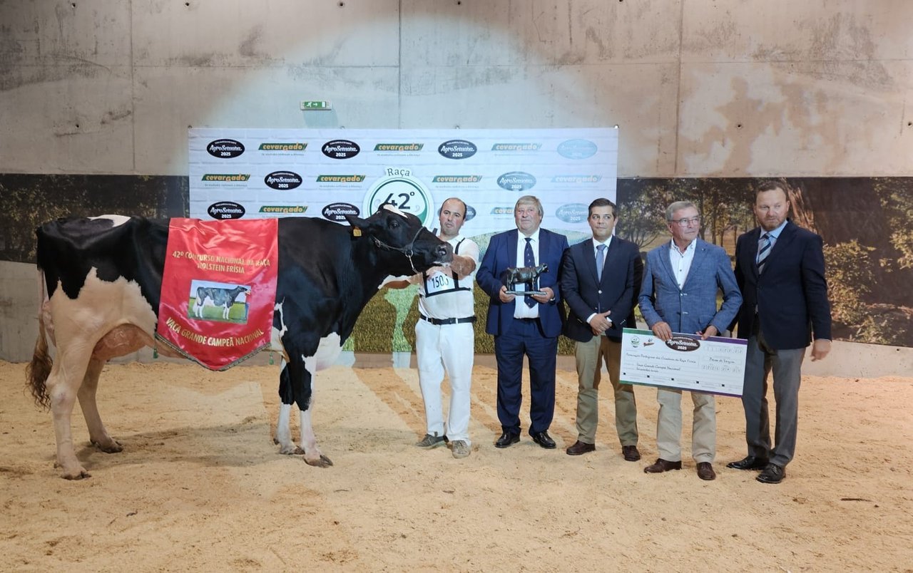 El Nacional de Portugal corona a Bradnick 6348 como su vaca gran campeona