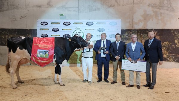 El Nacional de Portugal corona a Bradnick 6348 como su vaca gran campeona