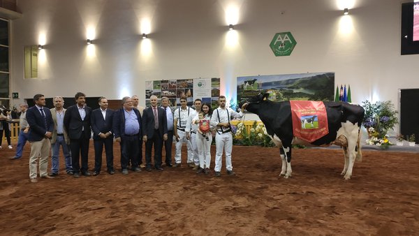 ¡ORP Doorman Natacha se proclama vaca gran campeona de Portugal en Azores!