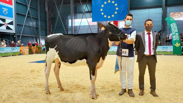 Rey 1014 Moovin Sony ET, la novilla que reina en el concurso nacional