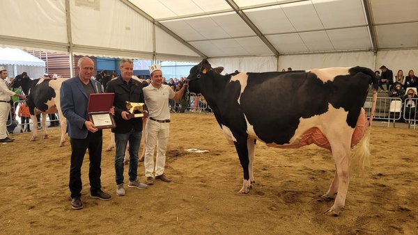 El Campgran arrasa en el Concurso Catalán de la Raza Frisona 2022