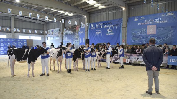Comeza esta fin de semana o Campionato-Puntuable Clube Xóvenes Gandeiros de Galicia 2024