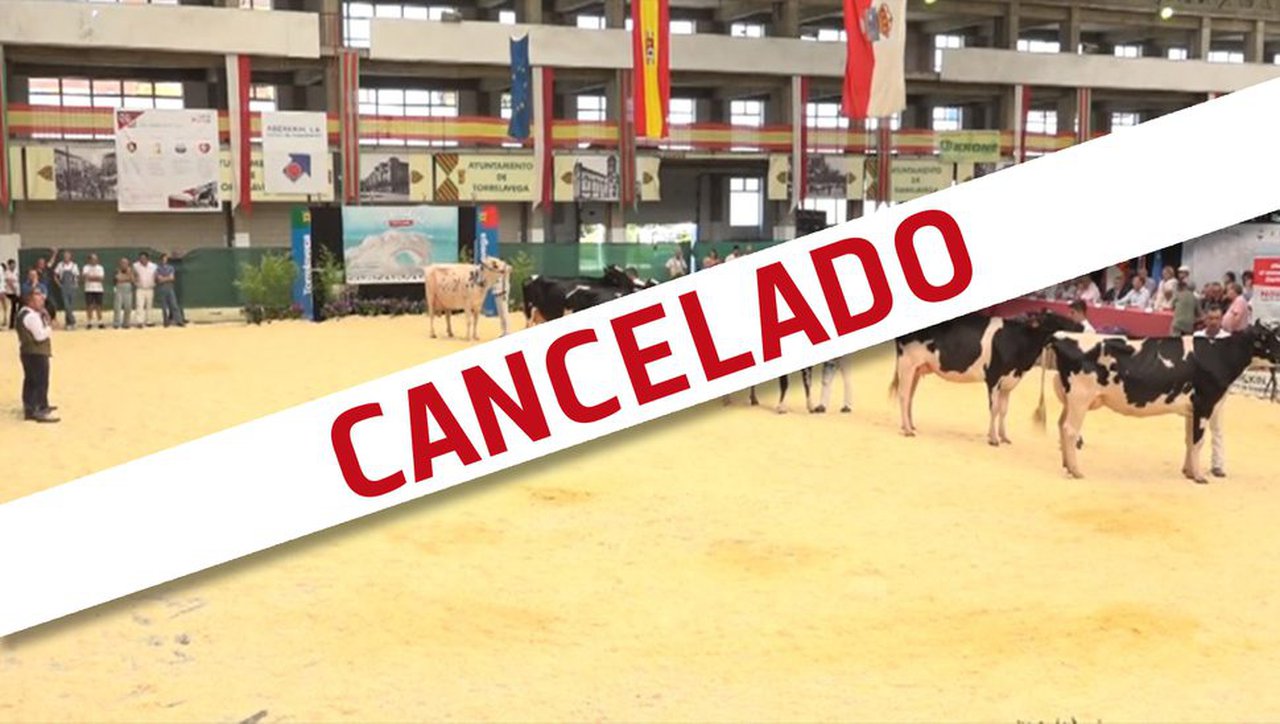 Cancelado o concurso frisón de Cantabria