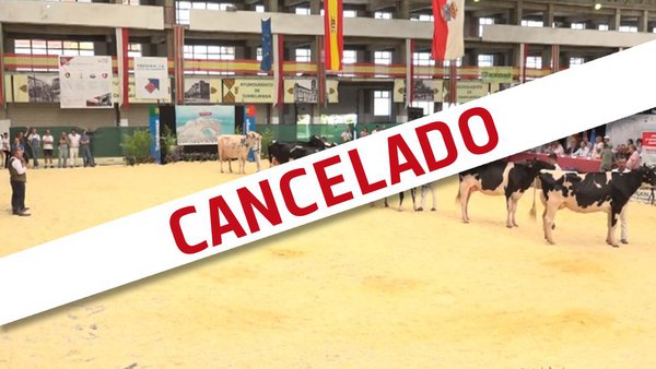 Cancelado o concurso frisón de Cantabria
