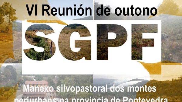 O silvopastoreo nos montes pontevedreses, tema central da próxima reunión da SGPF