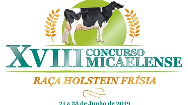 Todo a punto en San Miguel para la celebración del Concurso Micaelense