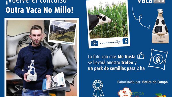Participa no certame de fotografía "Outra Vaca no Millo" 2020 de Vaca Pinta!