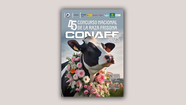 Casi 300 animales inscritos en el 45.º Concurso Nacional de la Raza Frisona
